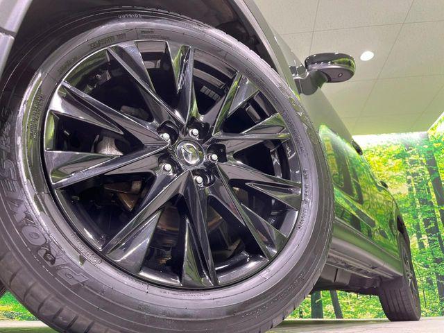 CX-5（新潟県長岡市）