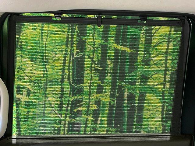 N＿BOX（新潟県長岡市）