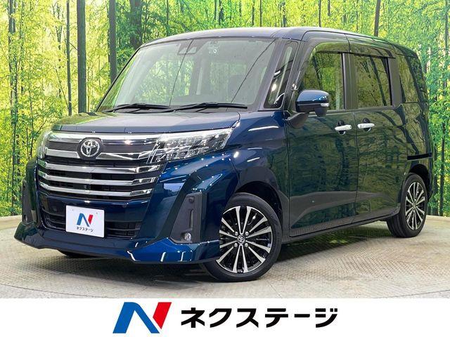 ルーミー（新潟県新潟市南区）