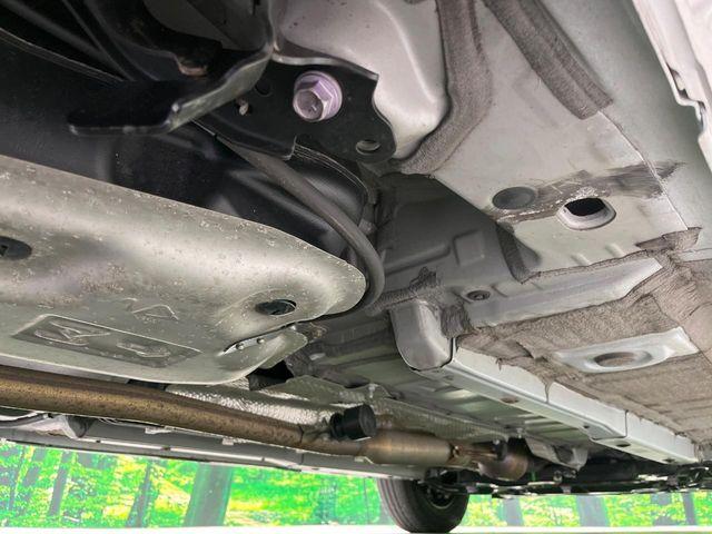 ヤリス(新潟県長岡市)