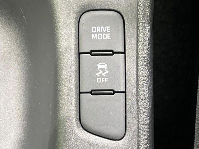 ヤリス(新潟県長岡市)