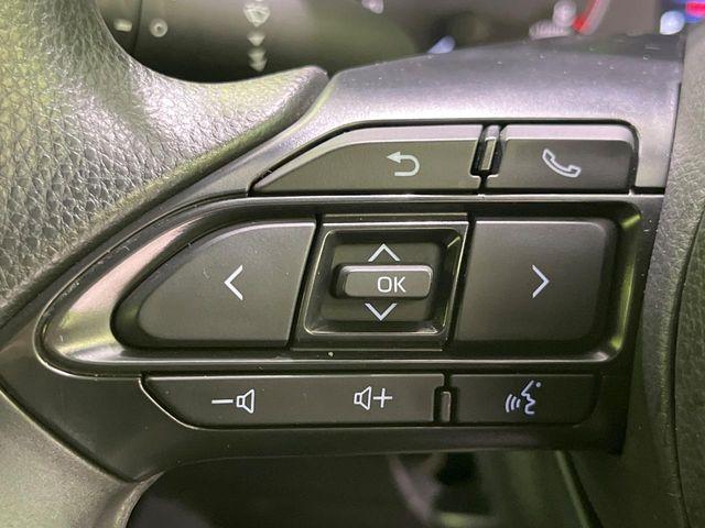 ヤリス(新潟県長岡市)