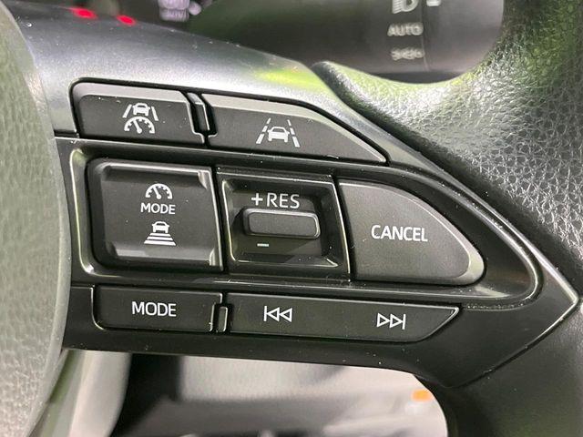 ヤリス(新潟県長岡市)