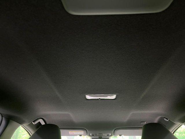 ヤリス(新潟県長岡市)