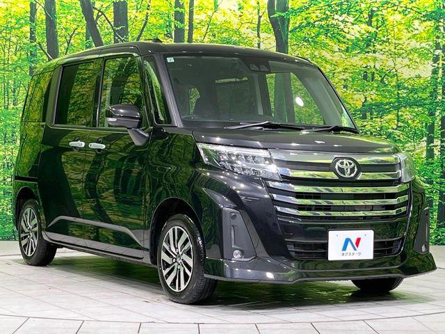 ルーミー（新潟県長岡市）