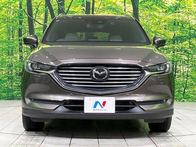 CX-8（新潟県長岡市）画像15