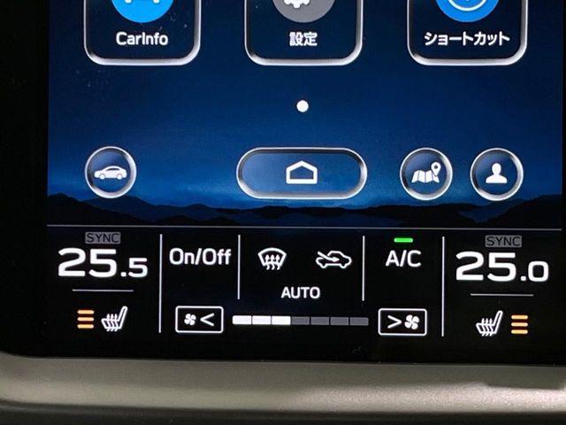 アウトバック（新潟県長岡市）画像28