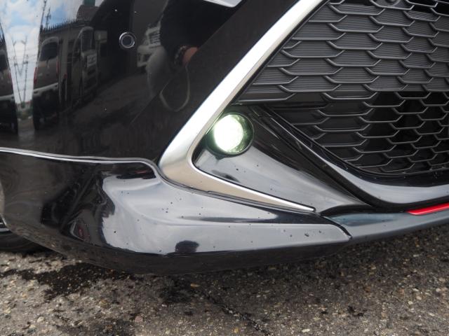 カローラスポーツ(新潟県新潟市西区)