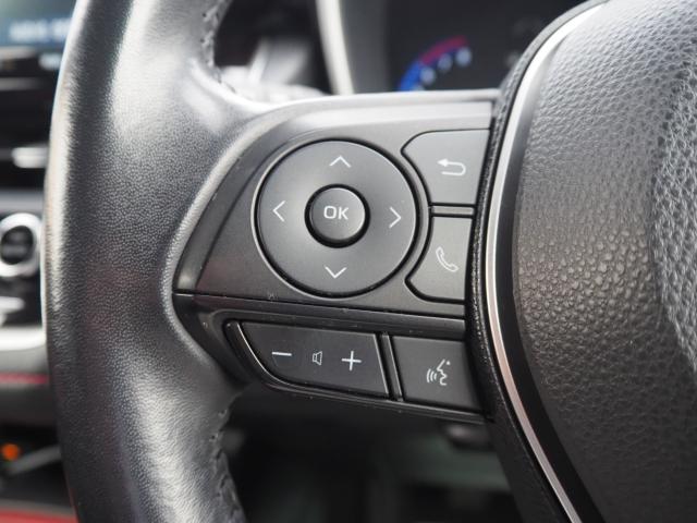 カローラスポーツ(新潟県新潟市西区)