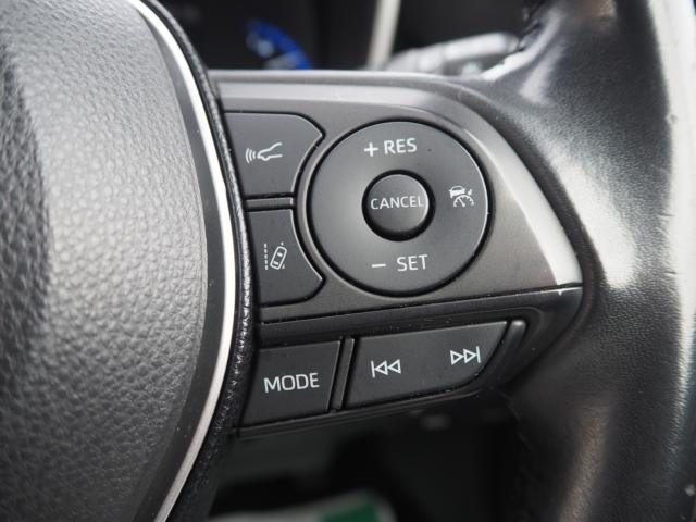 カローラスポーツ(新潟県新潟市西区)