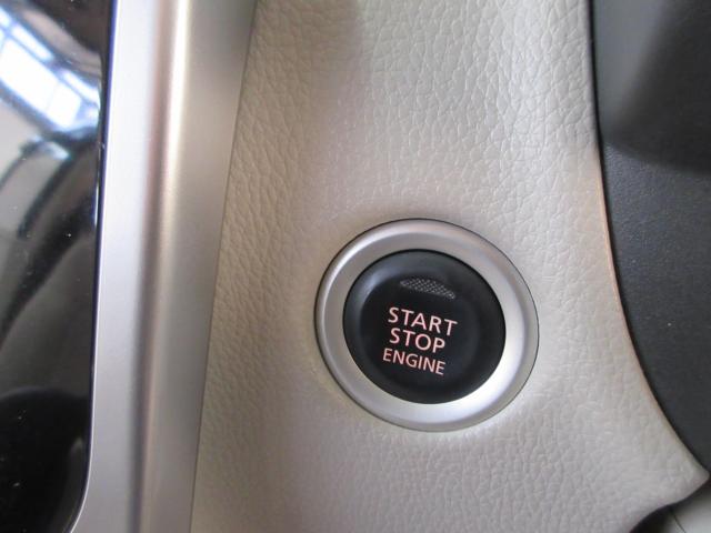 デイズ（新潟県新潟市南区）