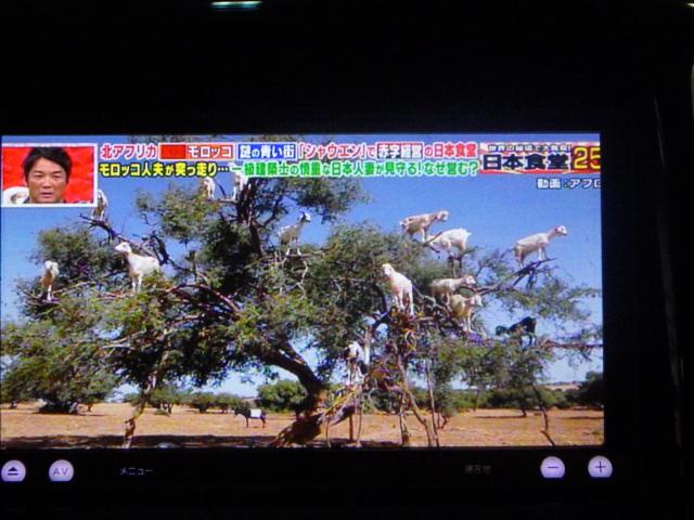 ソリオ（新潟県新潟市西区）画像7