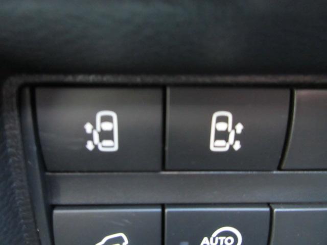 デリカミニ（新潟県柏崎市）画像19