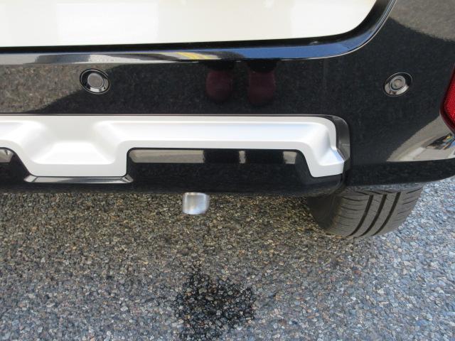 デリカミニ（新潟県柏崎市）画像37