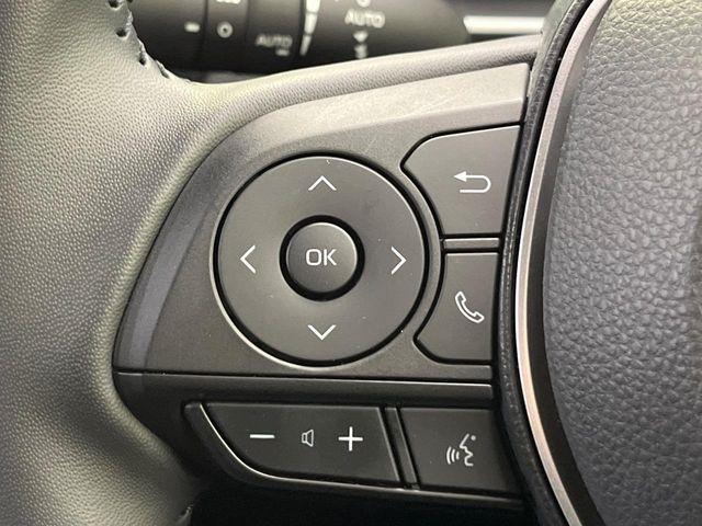 カローラクロス（新潟県新潟市南区）