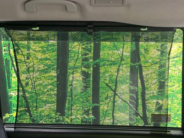 セレナ（新潟県長岡市）