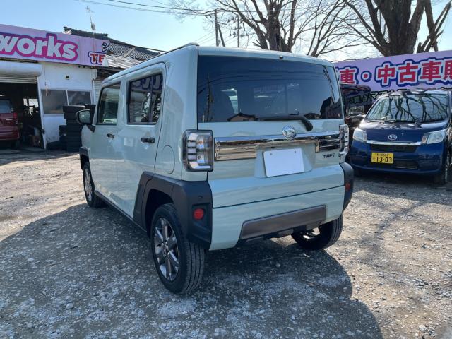 タフト（新潟県新潟市西区）画像9