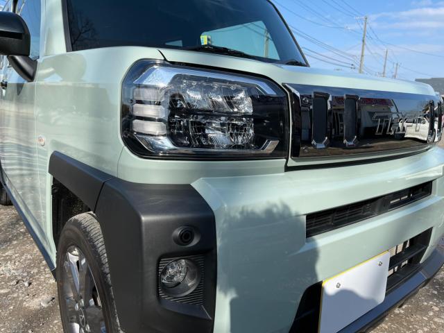 タフト（新潟県新潟市西区）画像50