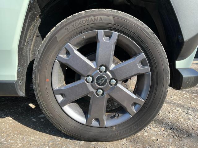 タフト（新潟県新潟市西区）画像54