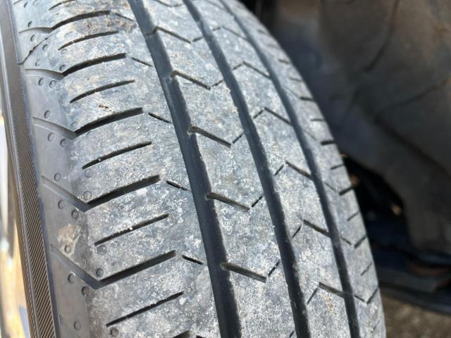 タフト（新潟県新潟市西区）画像59