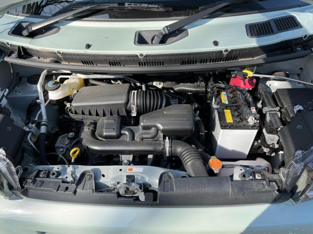 タフト（新潟県新潟市西区）画像62