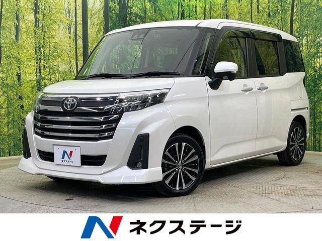 ルーミー（新潟県新潟市南区）