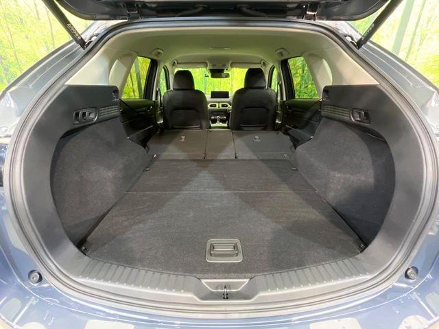 CX-5(新潟県新潟市南区)