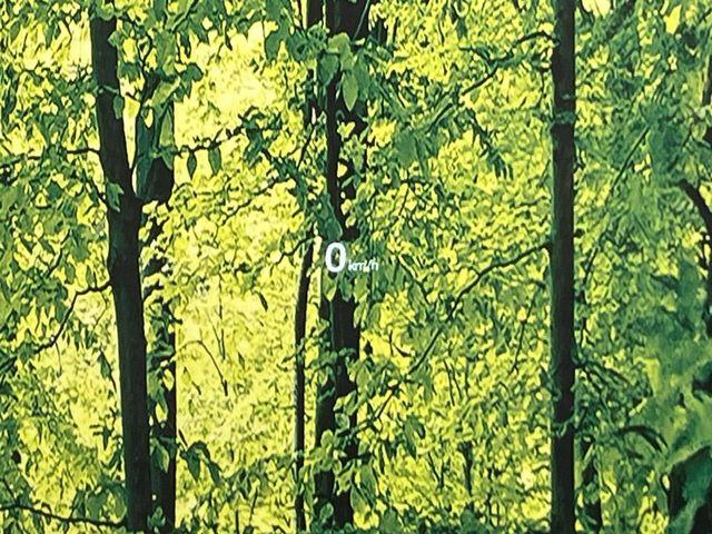 CX-5(新潟県新潟市南区)