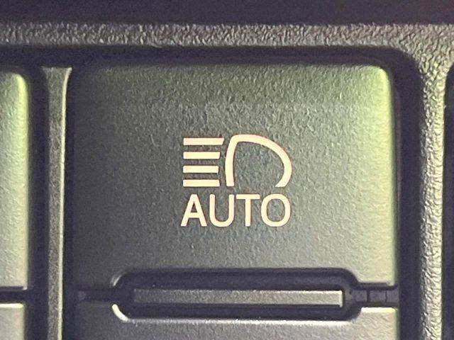 ヴォクシー(新潟県長岡市)