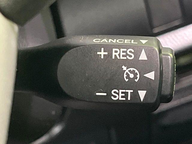 ヴォクシー(新潟県長岡市)