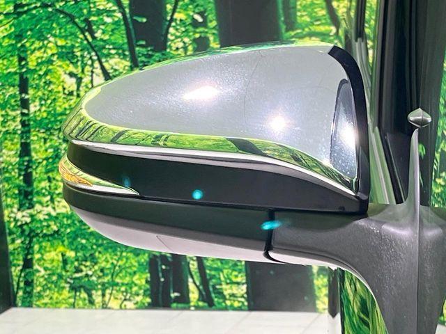 ヴォクシー(新潟県長岡市)