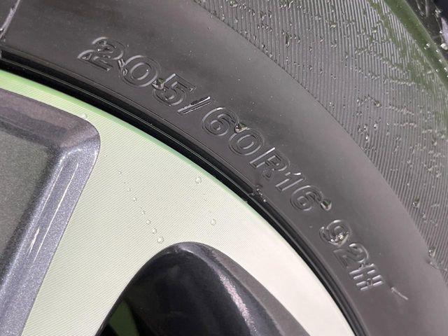 ヴォクシー(新潟県長岡市)