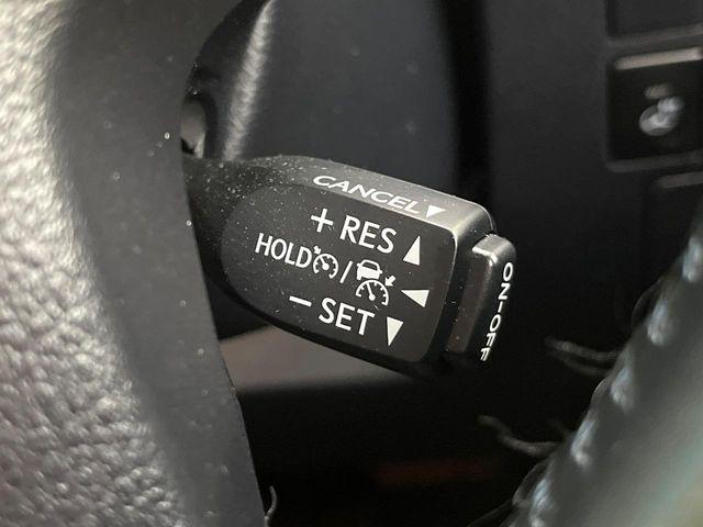 アルファード（新潟県新潟市東区）