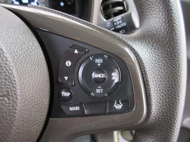 N-WGN（新潟県新潟市南区）