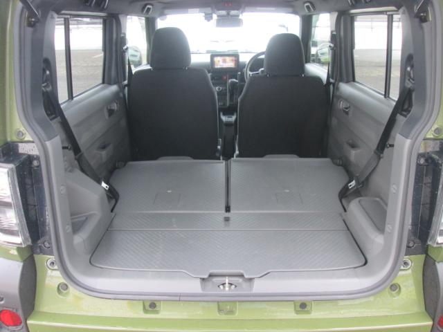 タフト（新潟県上越市）画像7