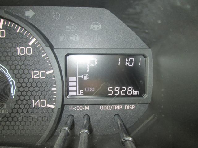 タフト（新潟県上越市）画像13