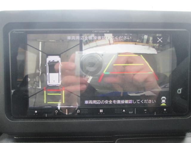 タフト（新潟県上越市）画像15