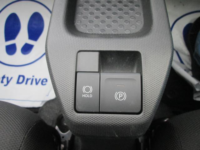 タフト（新潟県上越市）画像17