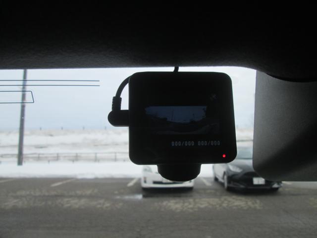 タフト（新潟県上越市）画像20