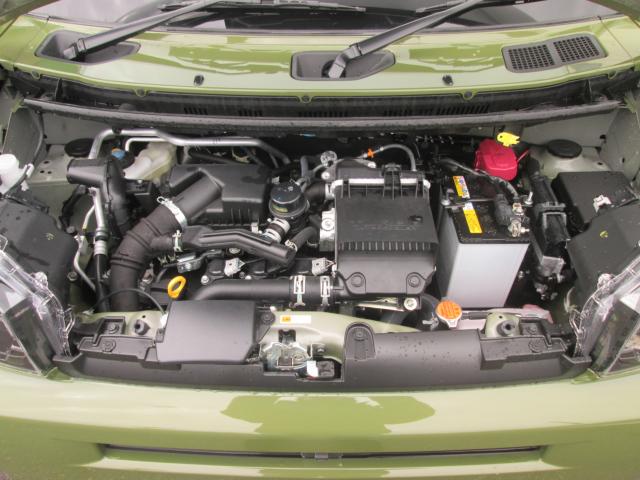 タフト（新潟県上越市）画像23