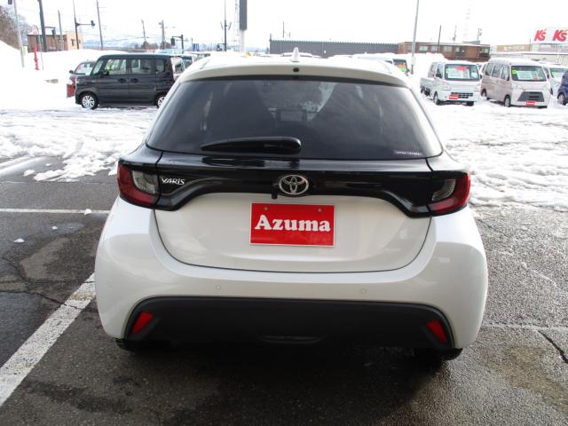 ヤリス（新潟県上越市）