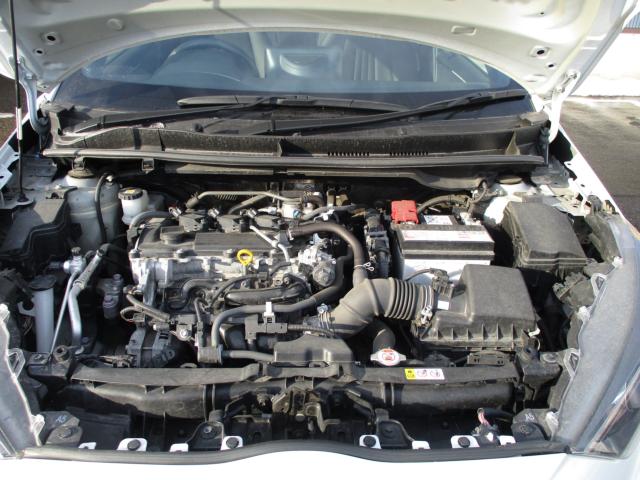 ヤリス（新潟県上越市）