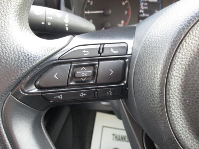 ヤリス（新潟県上越市）