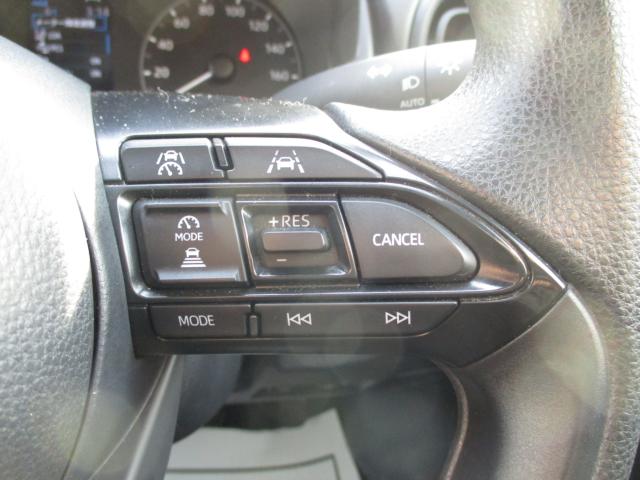 ヤリス（新潟県上越市）