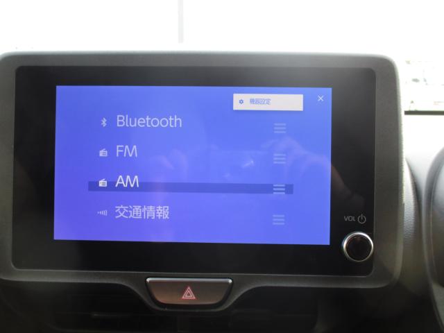 ヤリス（新潟県上越市）