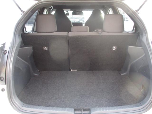 ヤリス（新潟県上越市）