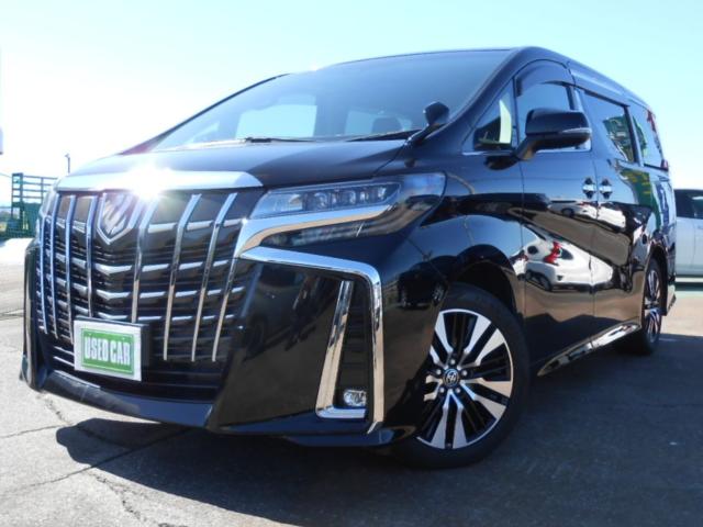 アルファード（新潟県新発田市）