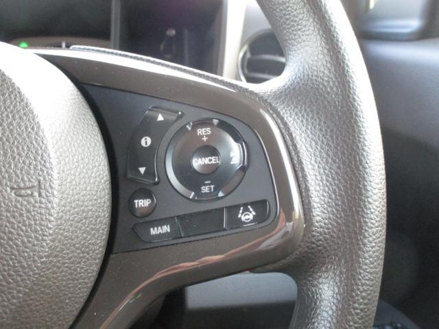 N-WGN（新潟県上越市）画像24