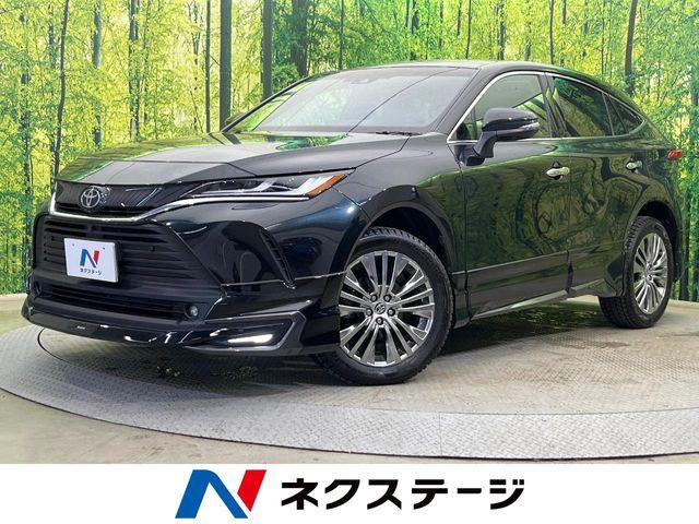 ハリアー（新潟県新潟市南区）