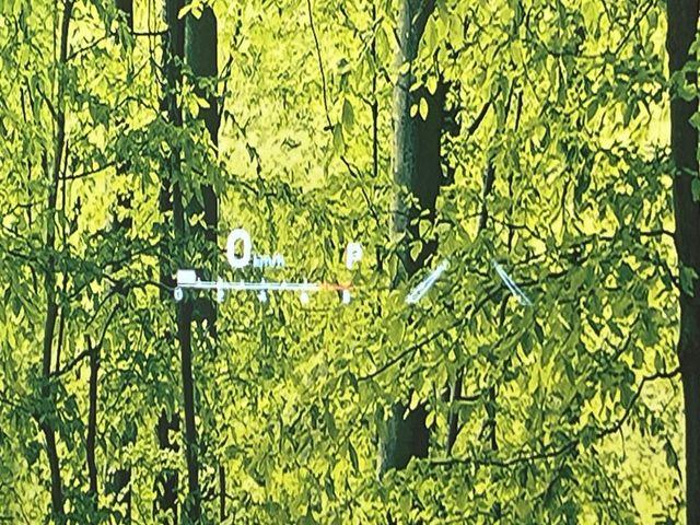 ハリアー（新潟県新潟市南区）画像26